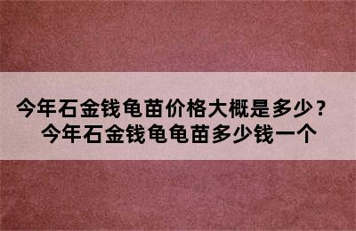 今年石金钱龟苗价格大概是多少？ 今年石金钱龟龟苗多少钱一个